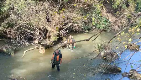 Почистиха коритото на река Черни Лом край село Пепелина&nbsp;от паднали дървета и клони