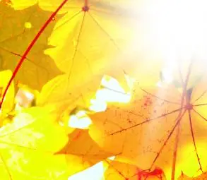 В Сандански термометърът отчете рекордните 22 градуса