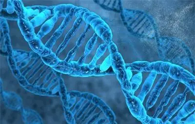 Нов тест предсказва появата на рак до 13 години преди развитието на болестта Нов тест предсказва появата на рак до 13 години преди развитието на болестта