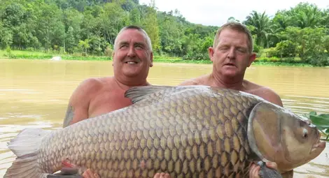 Британец улови шаран, тежащ 61 кг. Британец улови шаран, тежащ 61 кг.