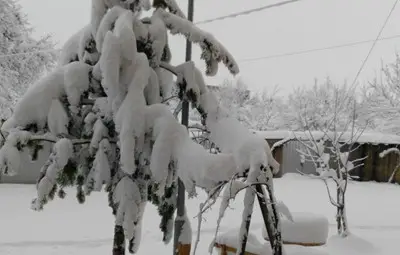 7 евакуирани от коли в преспите, линейка закъса в село край Полски Тръмбеш