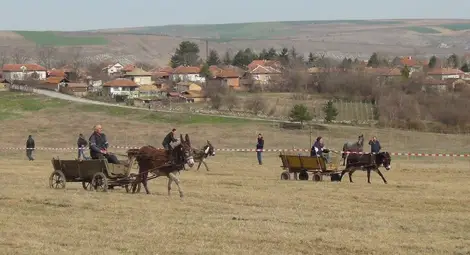 С конски и магарешки кушии посрещнаха пролетта в Ценовско