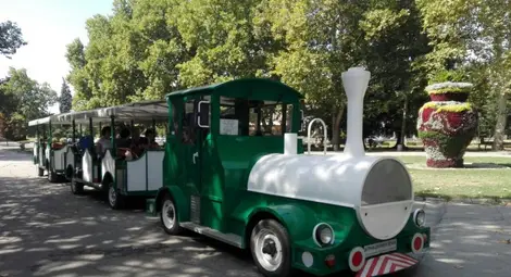 Влакчето в парка подарява безплатна обиколка на първолаците