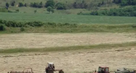 Земеделци закъсаха с работната ръка