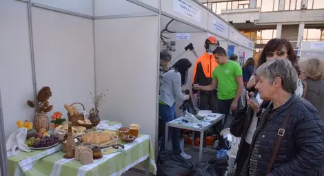 Прясно сирене, восъчна пита с мед и дъхави погачи на изложението на гимназиите