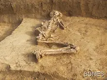 Погребение на бременна отпреди 6000 години откриха в Свещари Погребение на бременна отпреди 6000 години откриха в Свещари