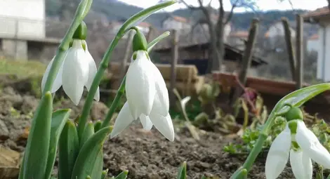 По-облачно и по-студено днес, температурата до 18° По-облачно и по-студено днес, температурата до 18°