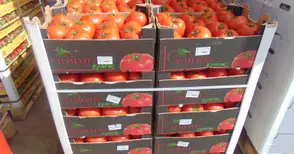 Областен център ще изкупува  плодове и зеленчуци за „Метро“