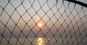 Конфискуваха 160 метра мрежи на бракониери