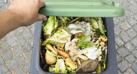 Всеки българин изхвърля годишно по 94 кг храна