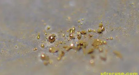 Свръхиздържлива
бактерия произвежда чисто злато Свръхиздържлива
бактерия произвежда чисто злато