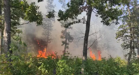 Седем пожара гасени през уикенда, 126 дка гори изпепелени в областта през юли Седем пожара гасени през уикенда, 126 дка гори изпепелени в областта през юли