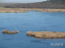 Още 6 мъртви пеликани в резервата "Сребърна"