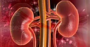 „Медика“ се включва в кампания срещу тихата епидемия от хронично бъбречно заболяване
