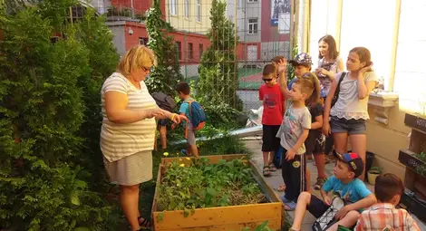 Деца научиха как се отглеждат зеленчуци в градинката на Екомузея