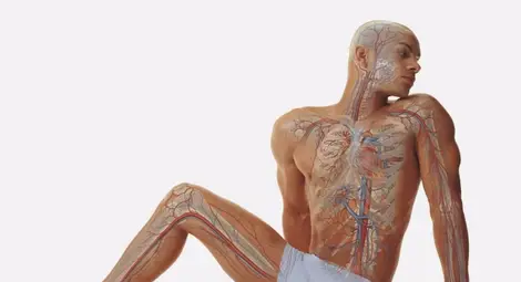 12 странни трика, които не знаете, че вашето тяло може да прави 12 странни трика, които не знаете, че вашето тяло може да прави