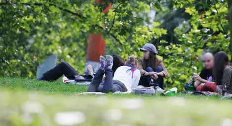 Проучване: 67% от младежите не правят нищо, 29% &ndash; искат да емигрират