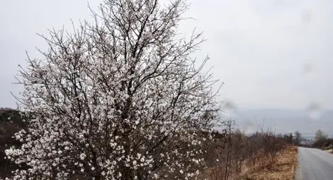 Днес 21 градуса, уикендът - студен и дъждовен