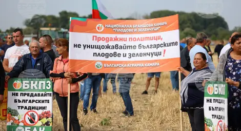 Снимка: БТА