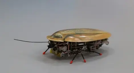 Създадоха &bdquo;робохлебарка&ldquo; разузнавач