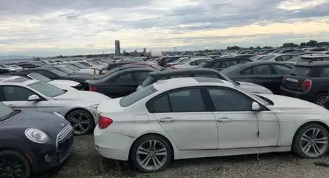 3000 BMW-та и Mini-та ръждясват изоставени 4 г. на паркинг 3000 BMW-та и Mini-та ръждясват изоставени 4 г. на паркинг