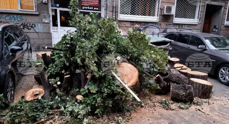 Снимка: БТА