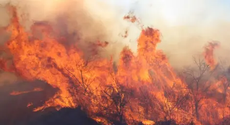 Огнеборци гасиха пожари в сухи треви и отпадъци в Силистренско