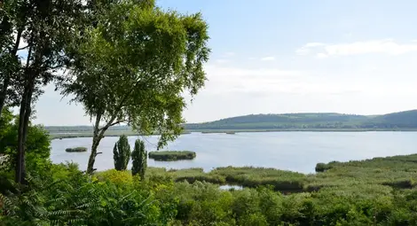 Младежи от 6 страни търсят зелени  решения за климатичните промени