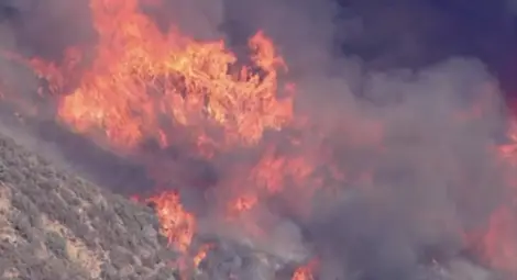 Евакуация в Лос Анджелис заради бързо разрастващ се горски пожар