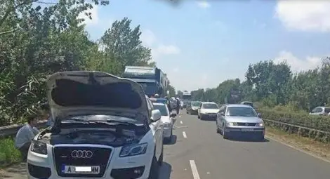 Камион на цирк "Балкански" с маймуни и понита причинил катастрофата край Сарафово