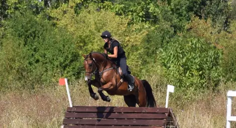 Атрактивен турнир по конен спорт излъчи медалисти за &bdquo;Купа Русе&ldquo;