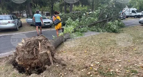 Снимка: БТА