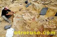 В Италия откриха мамут на 1 милион години 