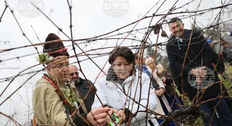 Снимка: БТА