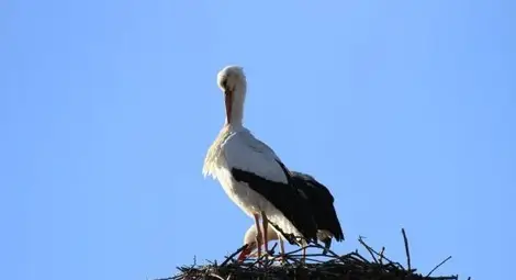 Лято на Великден, от 23 до 28 градуса днес