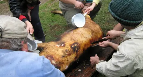 Угояването на Гошо за Коледа става все по-рядка екзотика