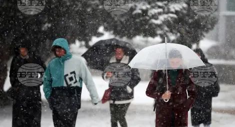 Снимка: БТА Снимка: БТА