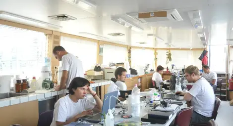 Китайски поспаланко превзема територии от рибите в Дунав Китайски поспаланко превзема територии от рибите в Дунав