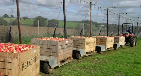 Фонд &bdquo;Земеделие&ldquo; публикува указания  за подпомагане заради руското ембарго