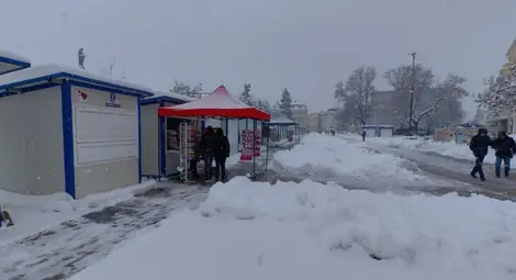 Благотворителната къщичка на &bdquo;Дунавско сияние&ldquo; събира средства за уникална семейна изложба