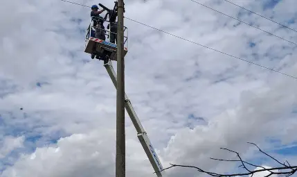 ЕРП Север стартира поставянето на изолационни материали в защита на птиците по проект &bdquo;Безопасно небе за птиците в Североизточна България&ldquo;