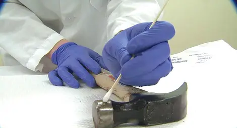 Убийцата Яна от Две могили: Няма го Петър, изядох го!