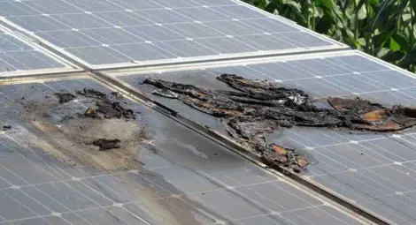 Душманите на Келерджиеви първо опитали да запалят соларите