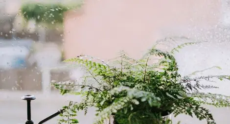 Още по-студено днес, ще валят дъжд и сняг