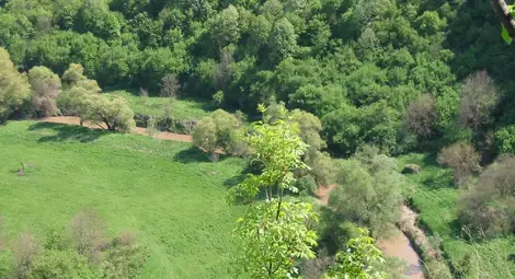 Мъж оцеля след полет в бездната край Орлова чука