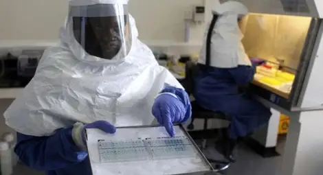 Нигерия вади сензационен цяр срещу ебола! Нигерия вади сензационен цяр срещу ебола!