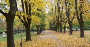 25.6 градуса разгорещиха ноемврийската есен