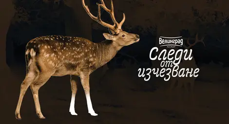 Екомузеят в Русе е домакин на пътуващата изложба &bdquo;Следи от изчезване&ldquo;