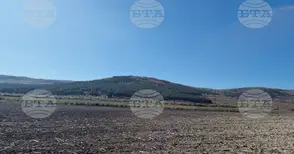 Започна подаването на заявления за подкрепа на земеделските стопанства