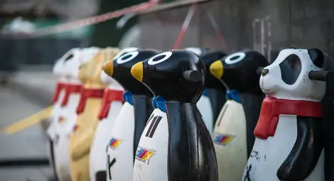 Откриват утре ледената пързалка в центъра на Русе /галерия/ Откриват утре ледената пързалка в центъра на Русе /галерия/